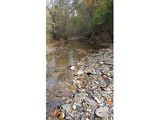 Property photo 21 - REAL ESTATE AUCTION - 366+/- ACRES OFFERED IN 5 TRACTS IN WESTERN JEFFERSON COUNTY, INDIANA